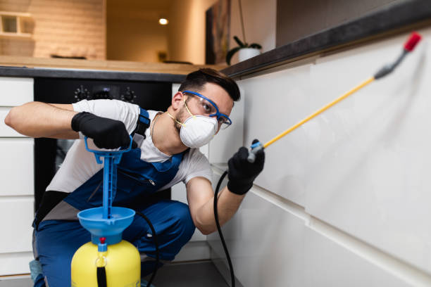 Professional Pest Control in Beloit, KS