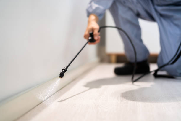 Pest Control for Restaurants in Beloit, KS