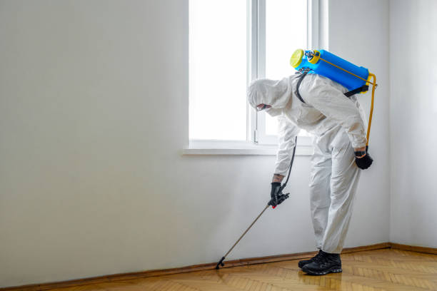 Best Pest Control for Homes  in Beloit, KS