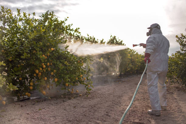 Best Flea Control Services  in Beloit, KS