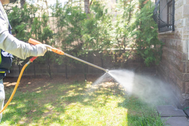 Best Mosquito Control Services  in Beloit, KS