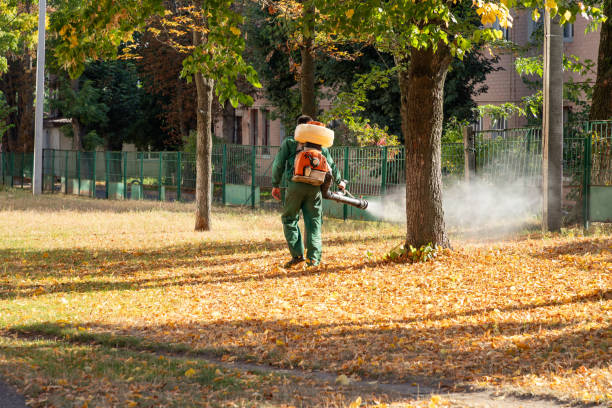 Best Pest Removal Services  in Beloit, KS