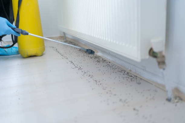 Best Pest Control for Businesses  in Beloit, KS