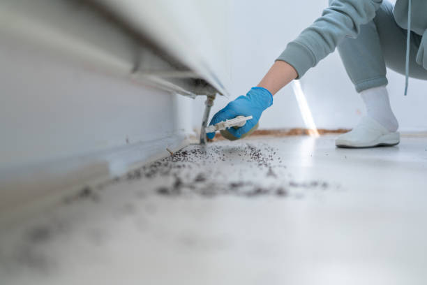 Best Wildlife Control Services  in Beloit, KS