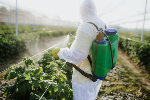 Best Mosquito Control Services  in Beloit, KS